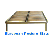 Posture slats